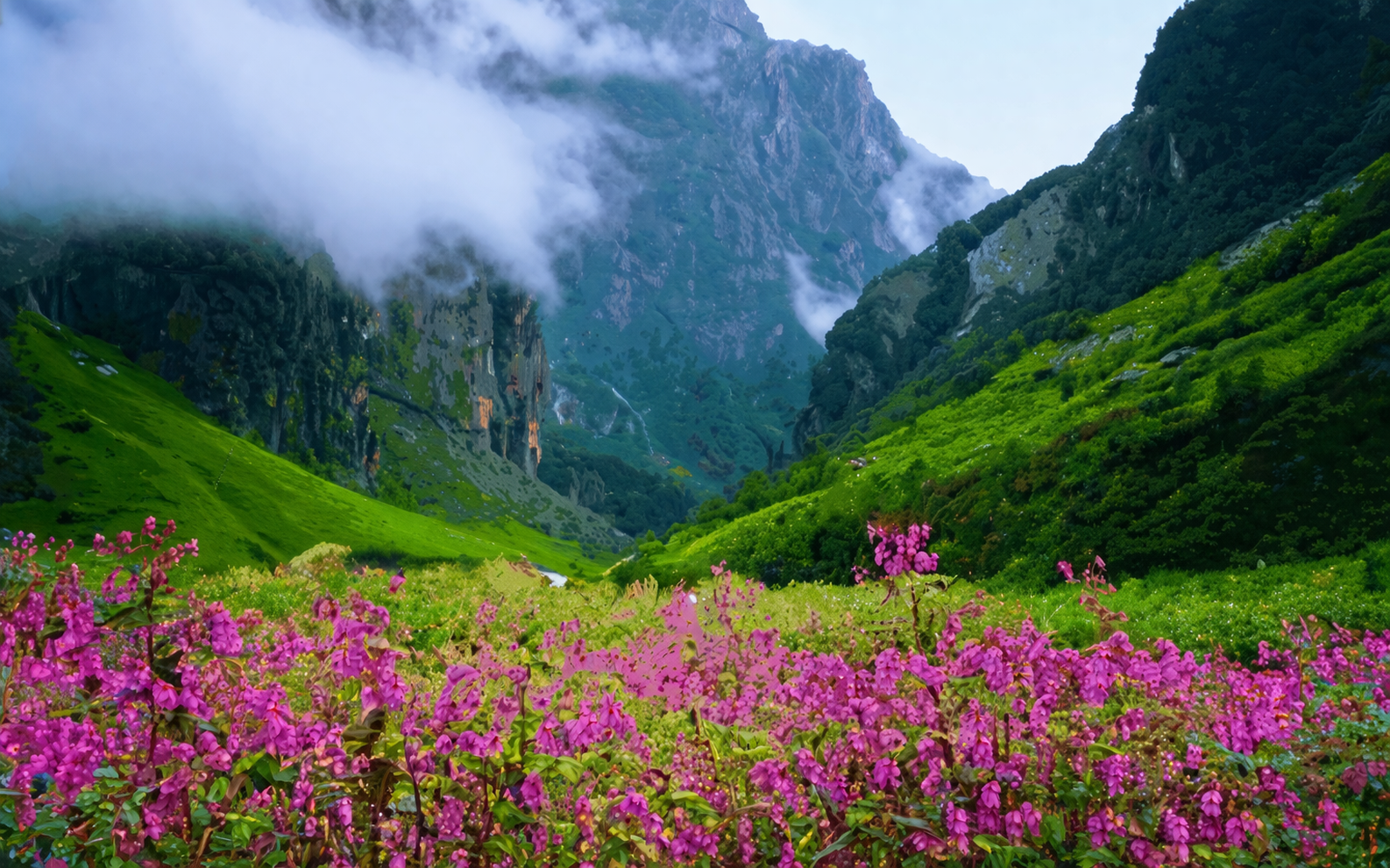 Phek & Tuensang
